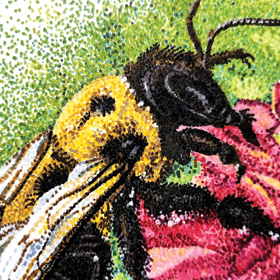 Dinner Time Bee Pointilism