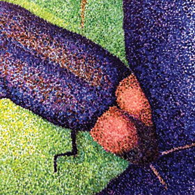 Light Up The Night Lightningbug Pointilism