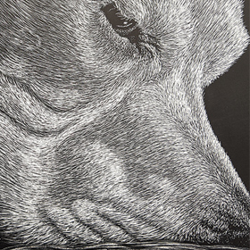 Scratchboard art