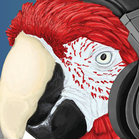 Logo Design for the Pointless Parrot Podcast